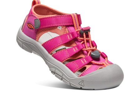 Keen Big Kids  Newport H2 Sandals Discount