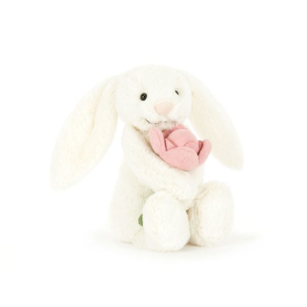 Bashful Bunny  Peony  Sale